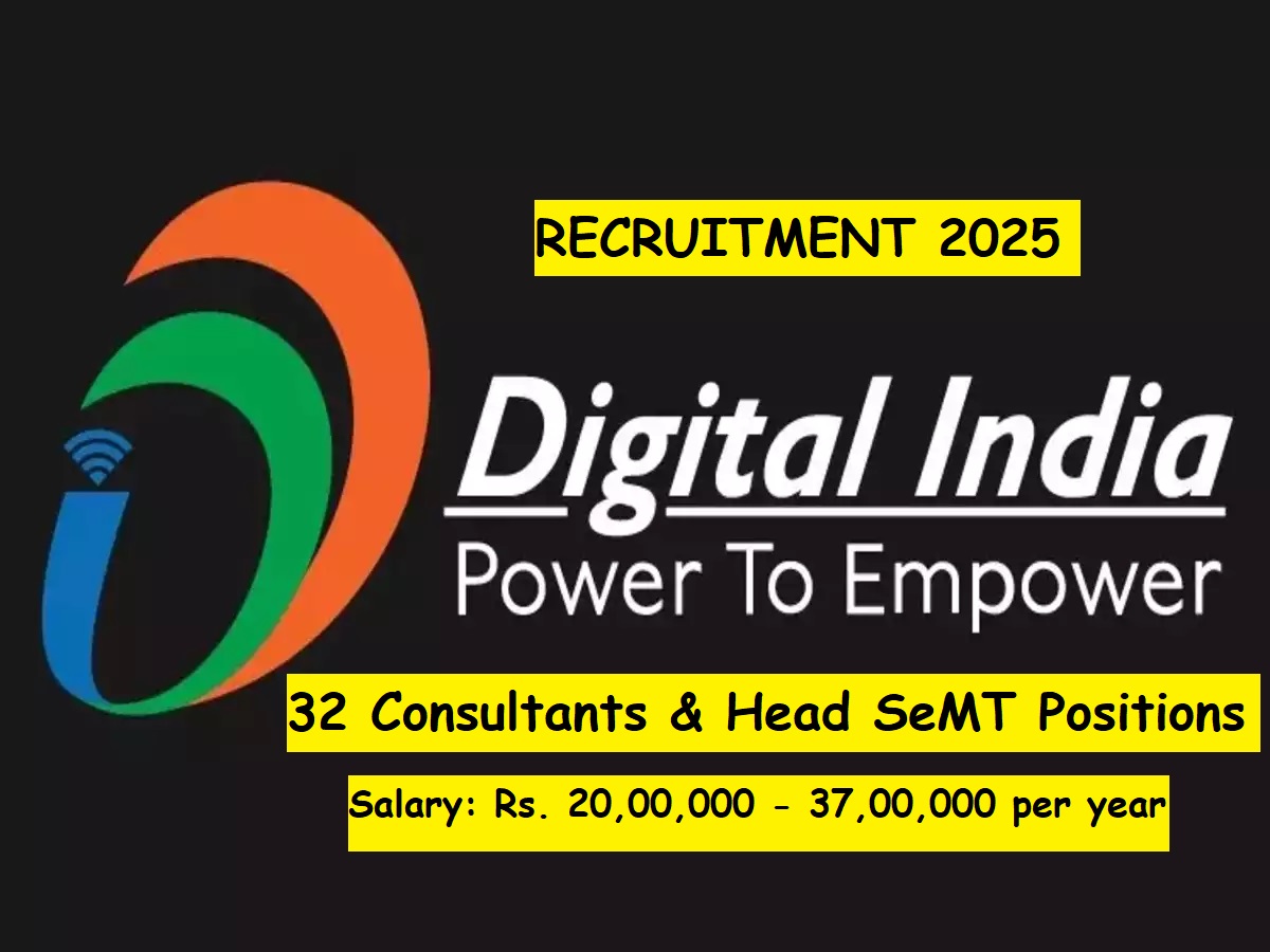 Digital India Corporation job