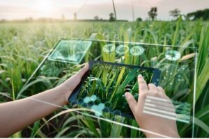 Farmers using AI tools for agriculture in India