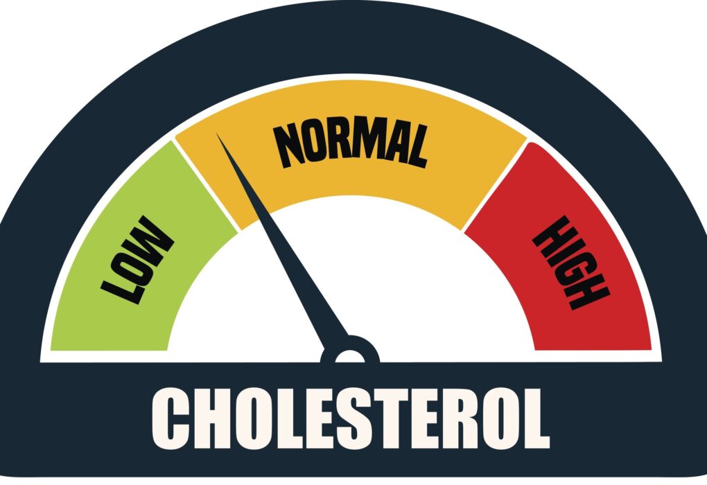 Cholesterol levels on the rise worldwide. Learn why it’s happening